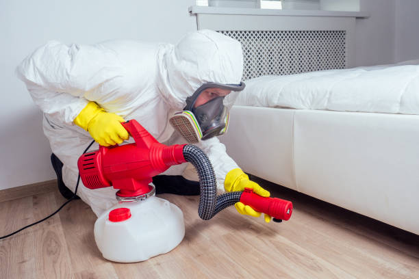 Best Residential Pest Control  in Denver, CO